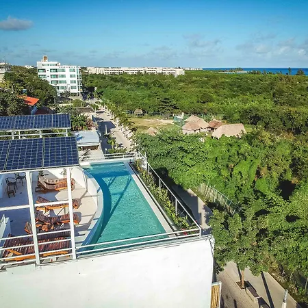 Ocean Zen Suites On 5Th Avenue - Adults Only-3