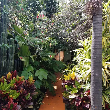 Hotel Casa 69-3