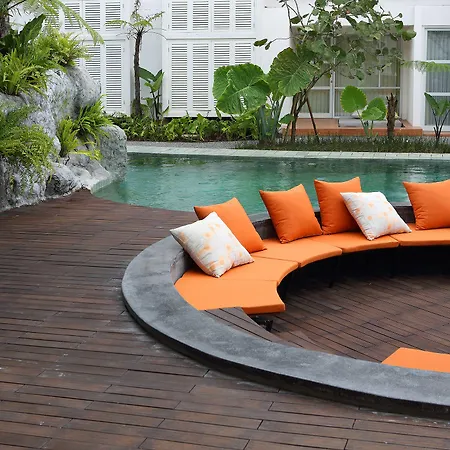 Yats Colony-3