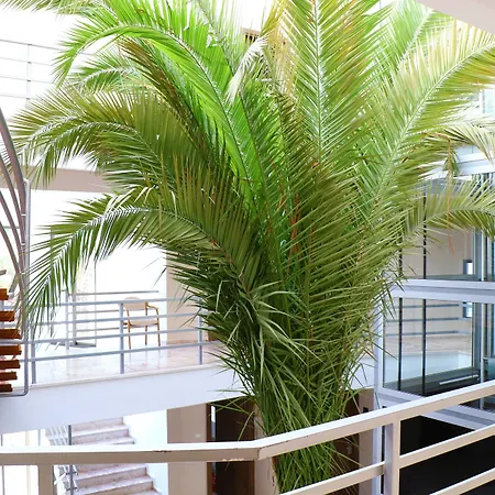 Pam Thermal Hotel Clinic & Spa-3