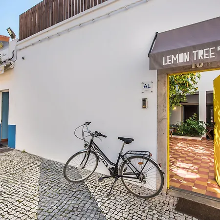 Lemon Tree Stay-2