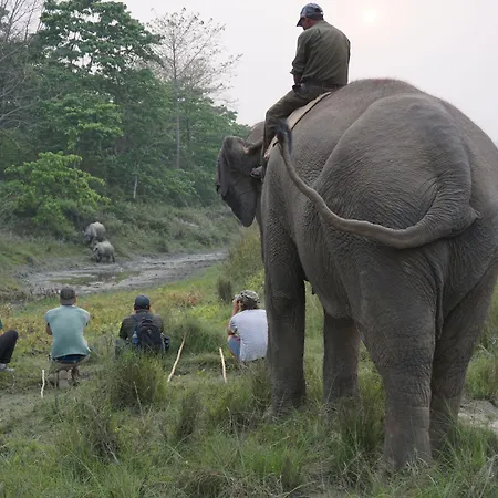 Tiger Tops Tharu Lodge-2