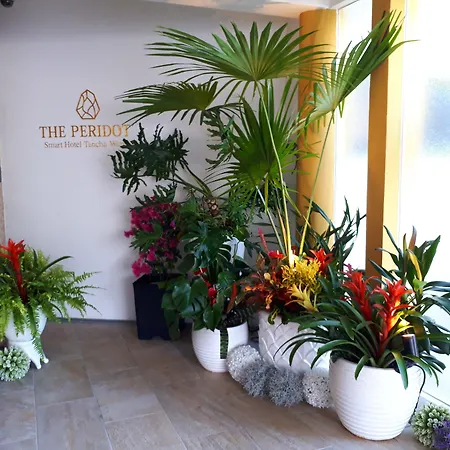 The Peridot Smart Hotel Tancha Ward-3