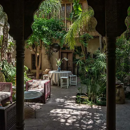 Riad Kbour & Chou-3