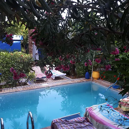 Riad Jean Claude-3