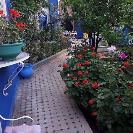 Riad Jean Claude-2