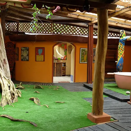 Tree House Beachfront Lodge-2
