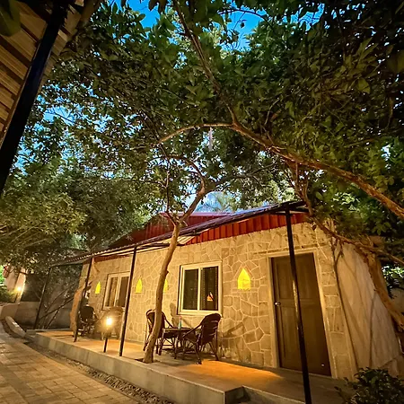 Ranthambhore National Resort-2