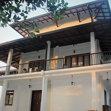 Jack Tree Lodge-2