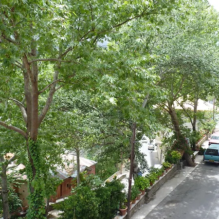 Mountain Rose Garden Hotel-3