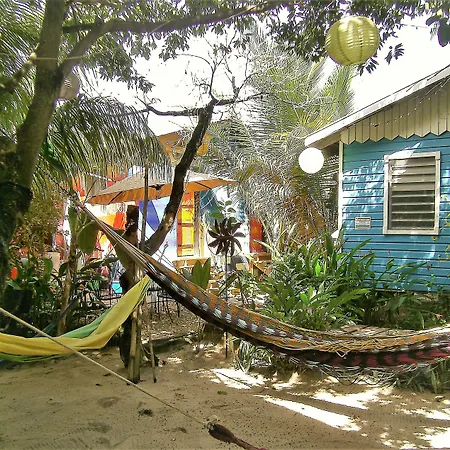 The Funky Dodo Backpackers Hostel-2