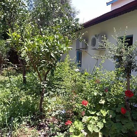 Kas Lemon Hotel-2