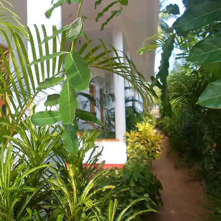 Surf & Sand Hotel Arugambay-3