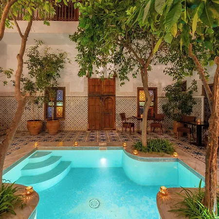 Riad Yamina52-3