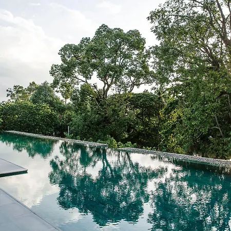 Treeline Urban Resort-2