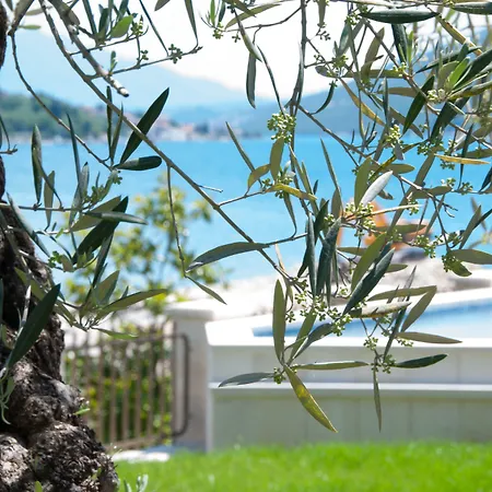 Boutique Hotel Kredo-2