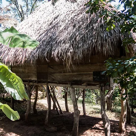 El Zopilote-2