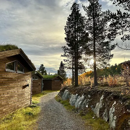 Bjornfjell Mountain Lodge-2