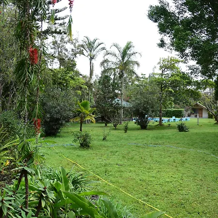Meru View Lodge-3