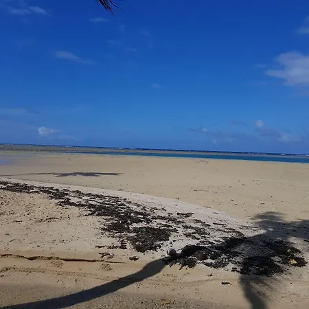 Gecko Lodge Fiji-2