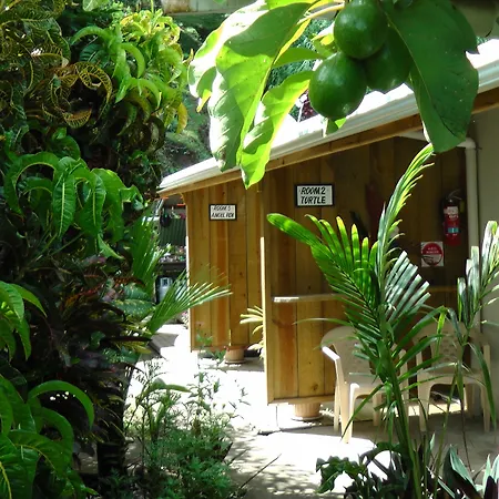 Gecko Lodge Fiji-3
