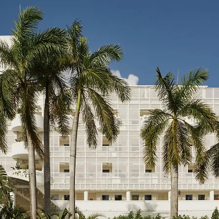 Palm Heights-3