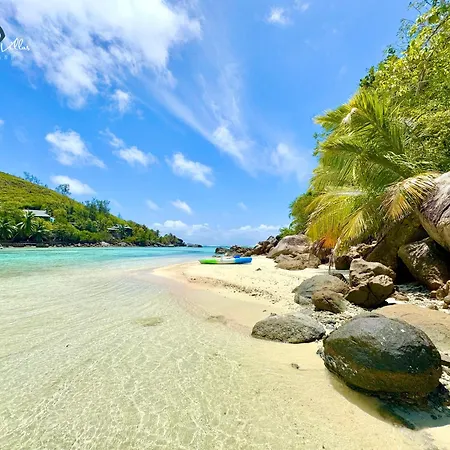 South Point Villas Cerf Island-2