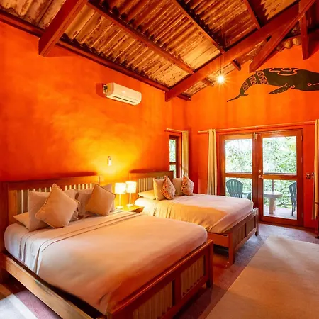 Morrillo Beach Eco Resort-3