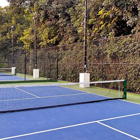 Dlf Club 3-2