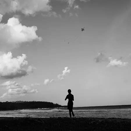 Halcyon Mawella-2