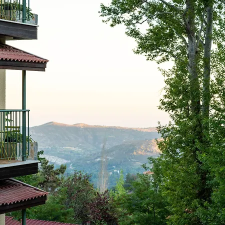 Petit Palais Platres Boutique Hotel-3