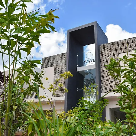 Waye Valladolid Centro - Sustainable, Authentic Experiences & Pet Friendly Boutique Hotel-2