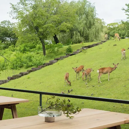 Miroku Nara By The Share Hotels-3