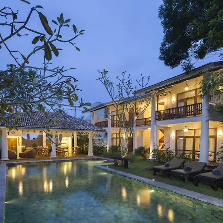 Bilin Tree House-3