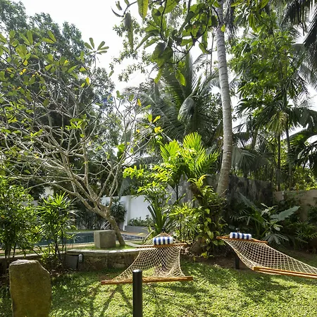 Bilin Tree House-2