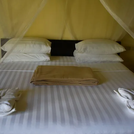 Jonas And Twins Resort-2