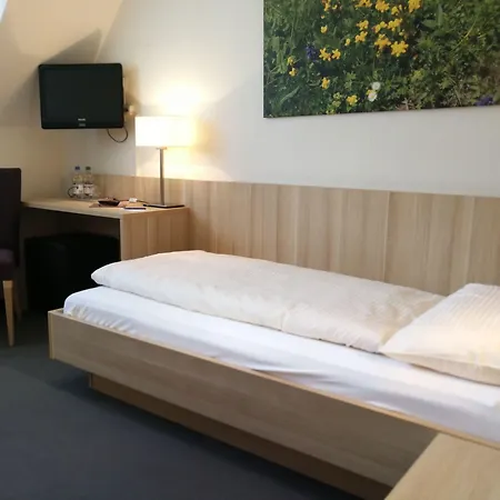 Hotel Loetschberg-3