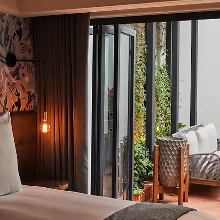 Campos Polanco-3