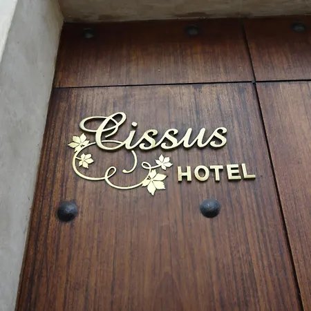 Cissus Hotel Boutique (Adults Only)-2