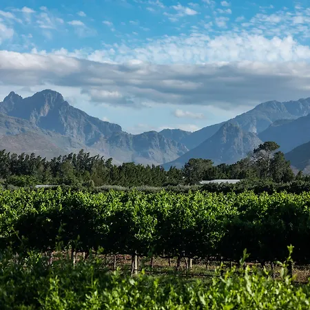 Lynx Wine Estate-3