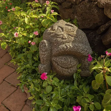 Hotel Ohana Rapa Nui-2