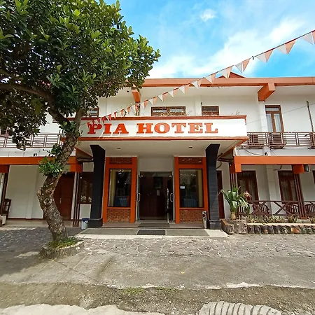 Pia Hotel Medan-2