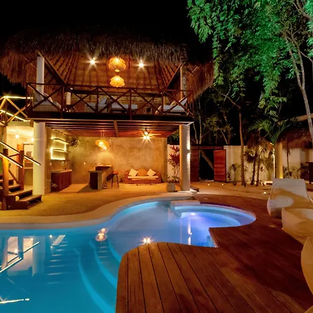 Mimosa Tulum-3