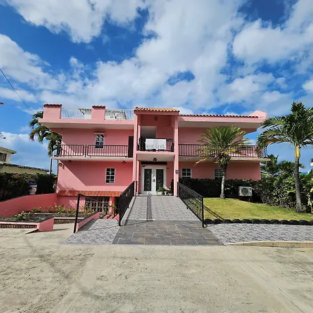 Selva Boutique Hotel - Luquillo Oceanfront Retreat - Adults Only-3
