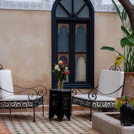 Riad Amegrad-2