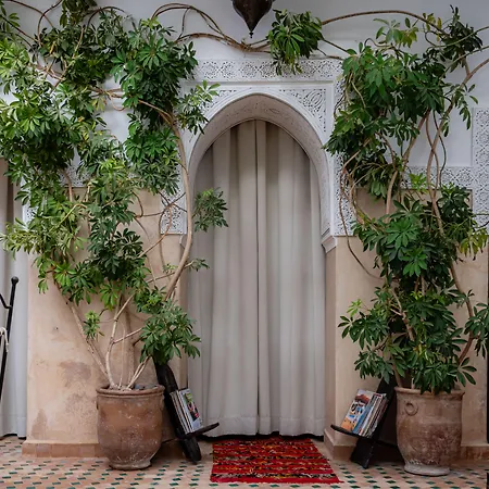 Riad Amegrad-3