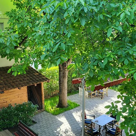 Grand Boutique Hotel-2