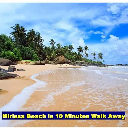 Noahs Ark Oceanscape Mirissa-2