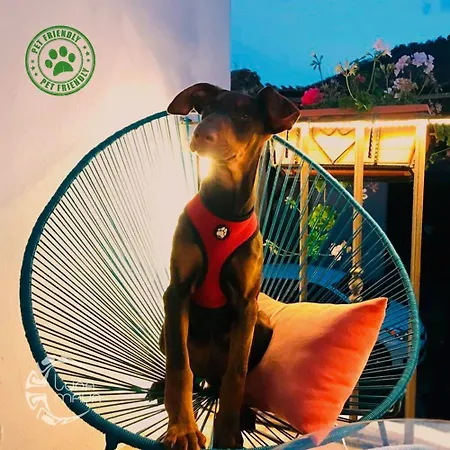 Luna Maya Antigua-3
