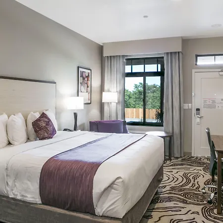 Hotel Siri Downtown - Paso Robles-2